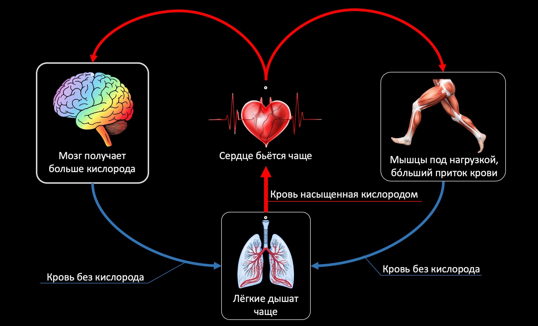 RKmanager уроки здравого смысла для руководителей по методике Романа Кузьмина