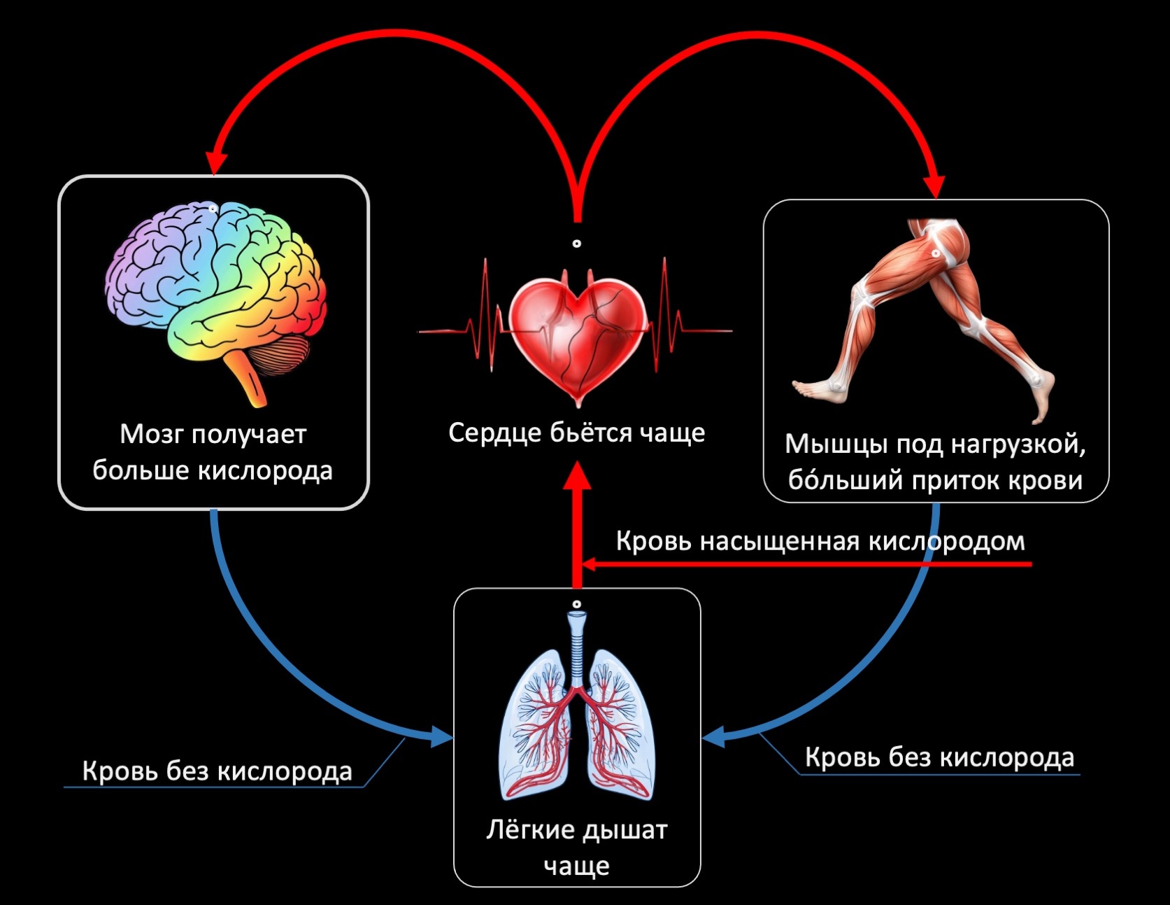RKmanager уроки здравого смысла для руководителей по методике Романа Кузьмина